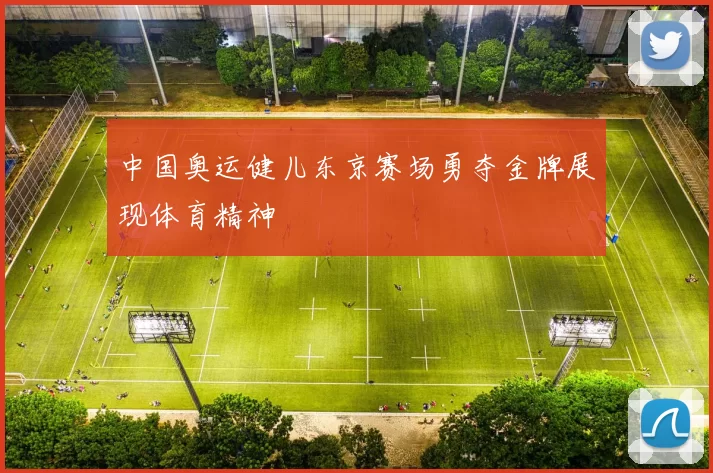 中国奥运健儿东京赛场勇夺金牌展现体育精神