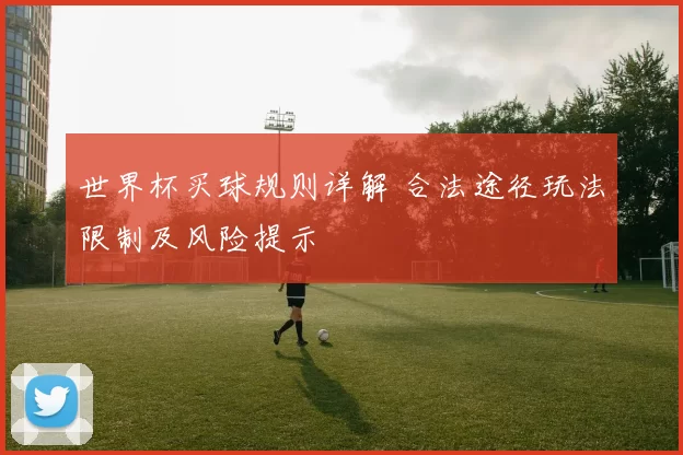 世界杯买球规则详解 合法途径玩法限制及风险提示