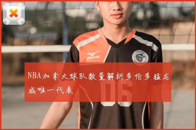 NBA加拿大球队数量解析多伦多猛龙成唯一代表